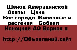 Шенок Американской Акиты › Цена ­ 35 000 - Все города Животные и растения » Собаки   . Ненецкий АО,Варнек п.